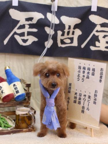 20240609チャタくん